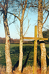 Directionnelle simple sur arbre