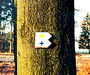 Directionnelle simple sur arbre