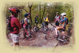 Location de VTT